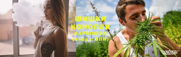 прущие грибы Пролетарск
