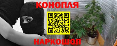 СК Лесосибирск